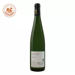 Riesling 2022