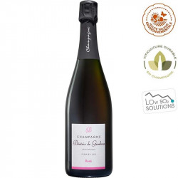 Rosé Extra-Brut Blending Champagne Beatrix de Gimbres