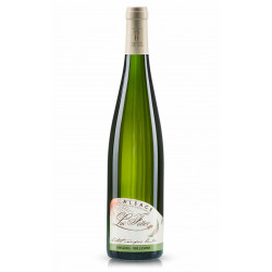 Riesling Fronholz 2010