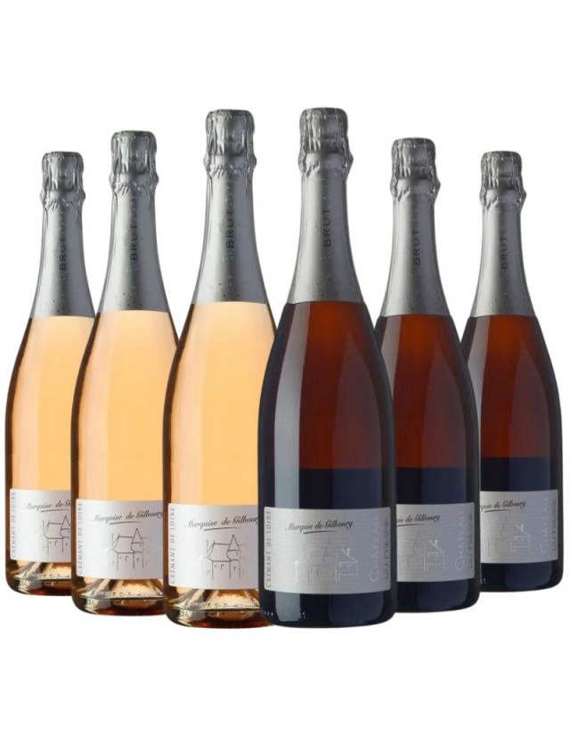 Coffret vin de la Loire 6 bouteilles rouge, blanc, rosé, pétillant AOC