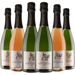 ORIGINES  Champagne Fauvet-Courleux