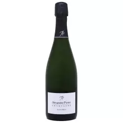 Alexandre Penet - Extra Brut
