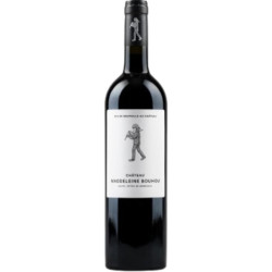 Sans Soufre 100% Merlot Magnum