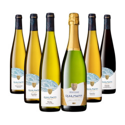 Découverte Alsace