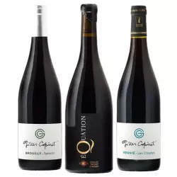 Coffret Gilles Coperet