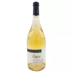 Orion