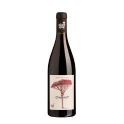 Cinsault