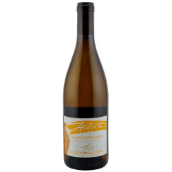 Mâcon Péronne Anfora