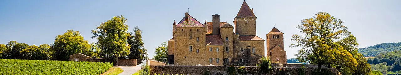 Achat vin AOC Crémant de Bourgogne - Avenue des vins