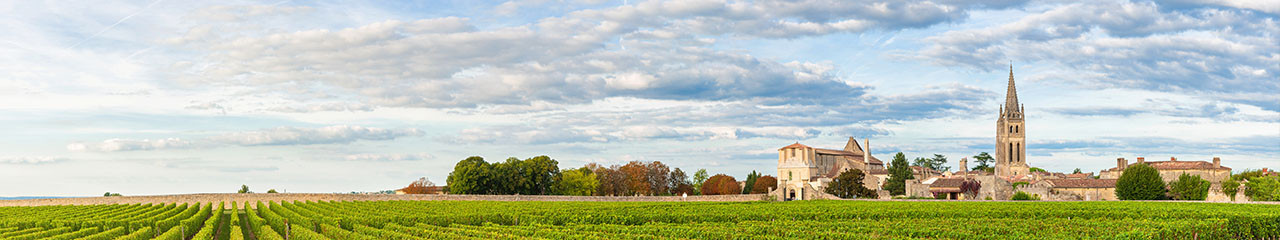 Achat vin AOC Blaye Côtes de Bordeaux - Avenue des vins