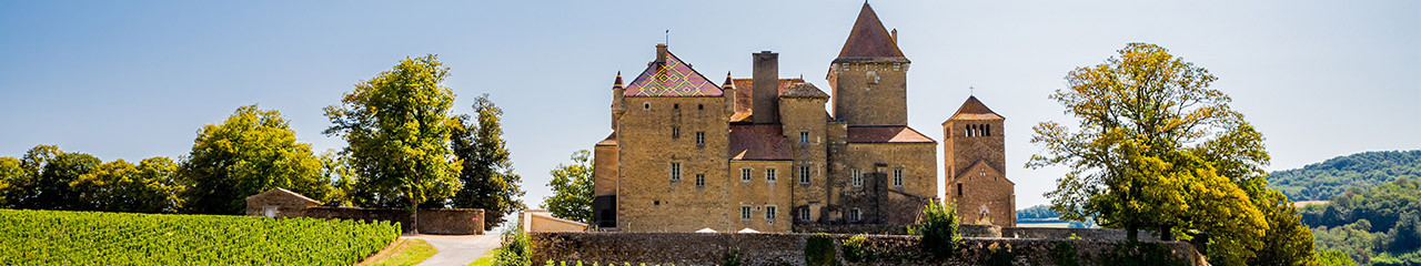 Buy wine Burgundy Wine - Avenue des vins