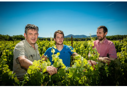 Le domaine de Brunet, des vignerons pionniers en Languedoc