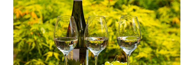 What food goes with Gewurztraminer? Our pairings style by style
