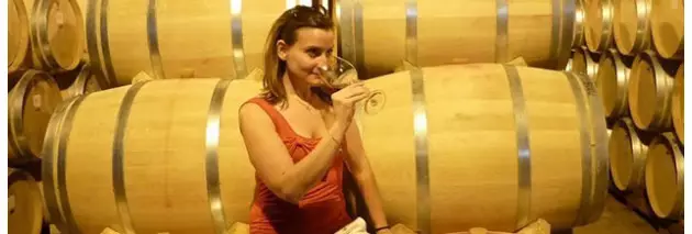 Domaine La Folie Vigneronne