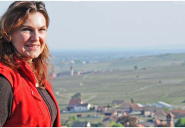 Domaine Gueth, on the wine trail