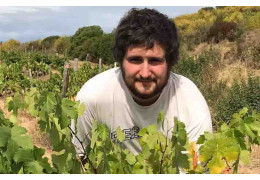 The curved culture of the Domaine des Belles Courbes