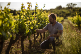 Domaine Deleuze-Rochetin