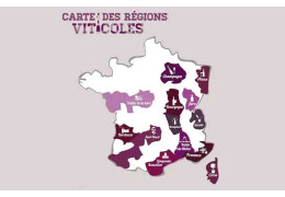 DO YOU KNOW THE MAIN WINE-GROWING REGIONS ?