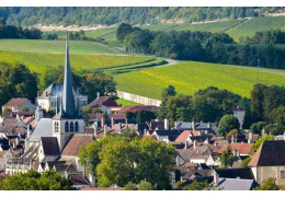 VINS TRANQUILLES DE CHAMPAGNE : 3 VINS À DÉCOUVRIR DE TOUTE URGENCE !
