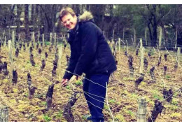 Domaine Masse Père et Fils: a family of winegrowers in AOC Givry