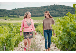 Domaine de la Mordorée: a family vineyard