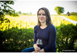 Ponty Vineyards, a family story