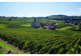 LE CERDON DU BUGEY : 4 CUVÉES À DÉCOUVRIR !