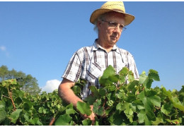 Domaine des Vignes Blanches, a Burgundy institution