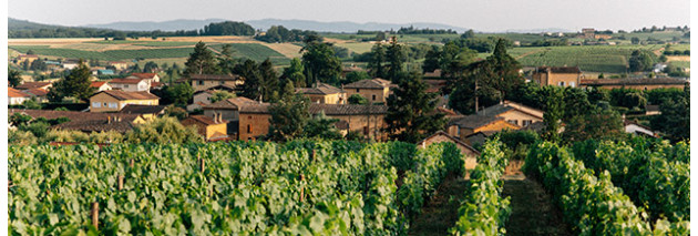 Château de l'Éclair, Liergues : le domaine expérimental du Beaujolais et sa cuverie de recherche