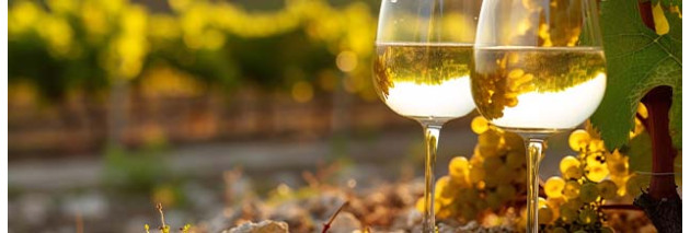 Quel plat avec un Sancerre ? Nos accords mets et vins par couleur et par terroir