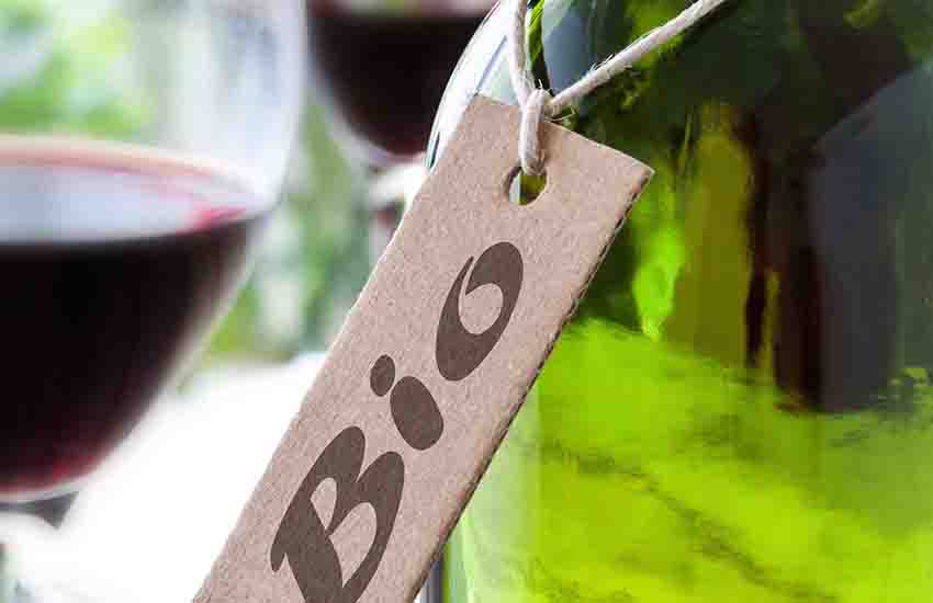2 astuces pour détecter un vin bouchonné - Avenue des Vins