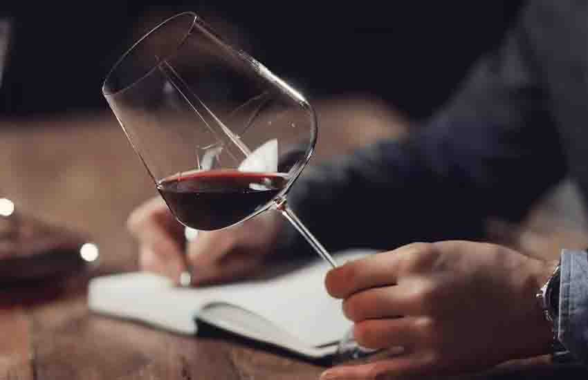 Verres Vin Rouge, Pour Dégustation de Spiritueux